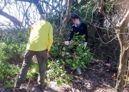 Students actively engaged in mangrove restoration, contributing to environmental conservation.